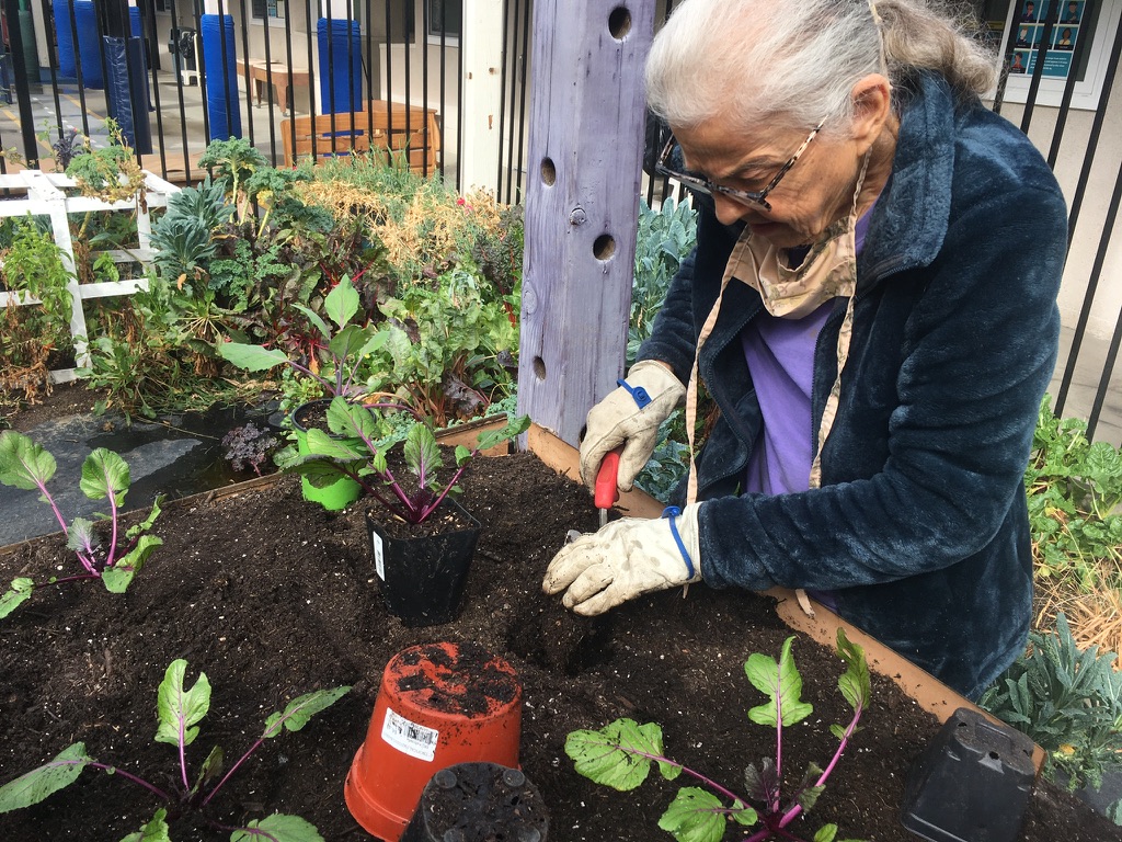 Gardening October 2021